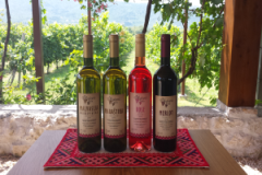 Dubrovnik Top Transfers